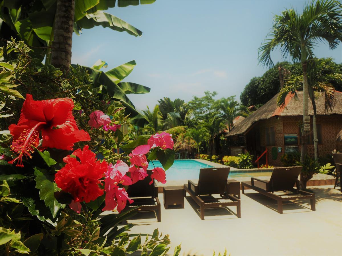 Island Tiki Paradise Resort Panglao Eksteriør bilde